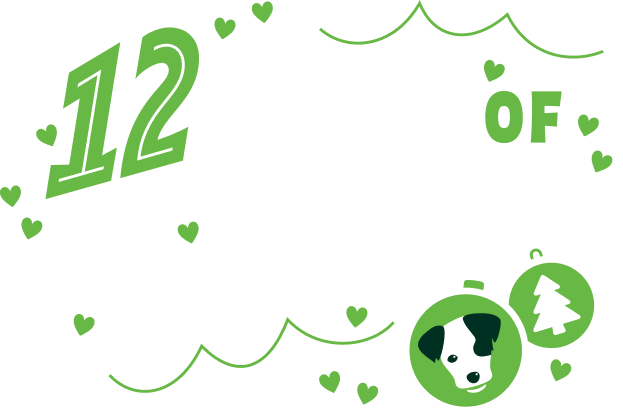 12 Pets of Christmas