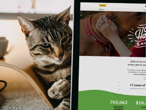 A World Class Pet Adoption Platform