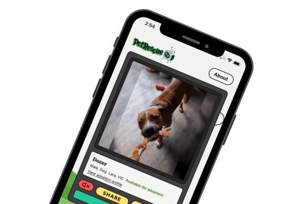 PetRescue TV on a mobile phone
