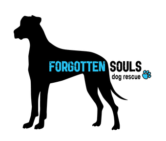 Forgotten Souls Dog Rescue - PetRescue
