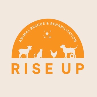 Rise Up Animal Rescue and Rehabilitation - PetRescue