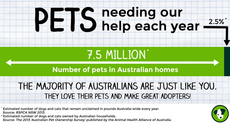 pets needing our help infographic