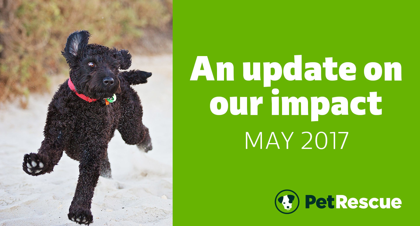An update on our impact - May 2017
