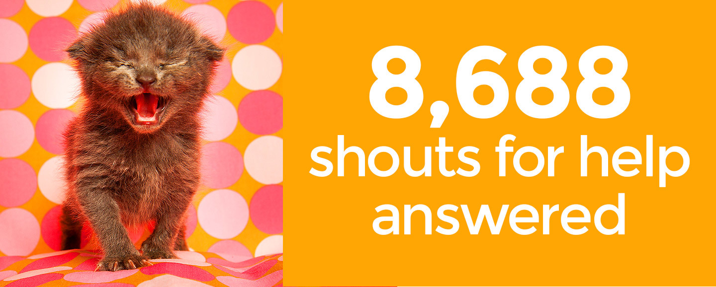 8,688 shouts for help answered