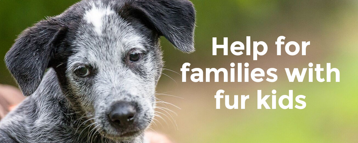 Help for families with fur kids
