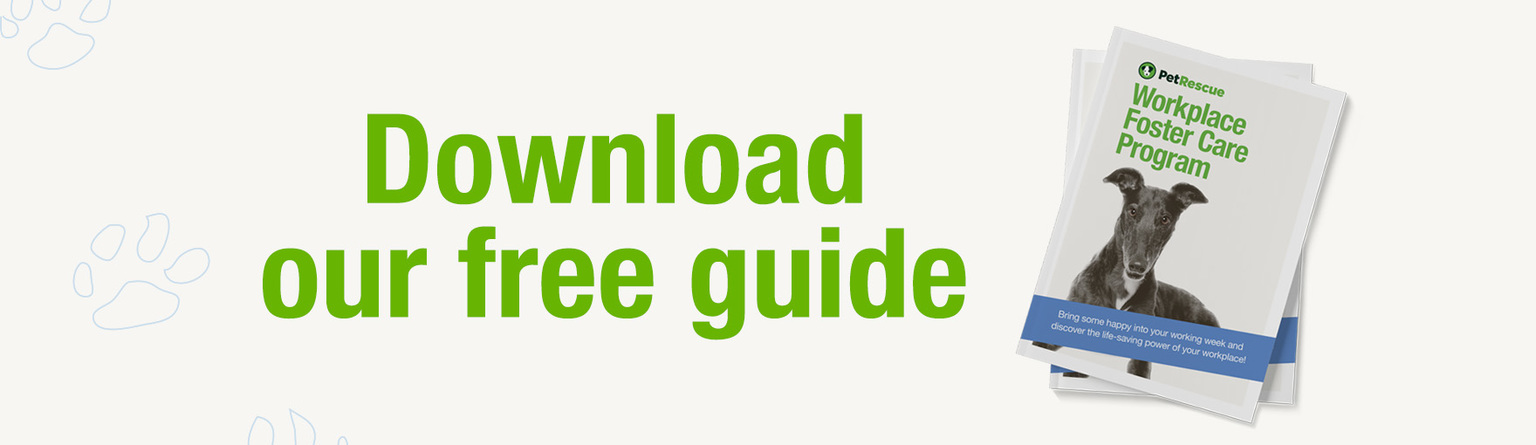 Download-our-free-guide