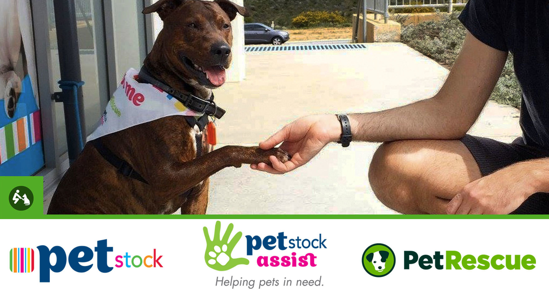 Petstock National Pet Adoption Day 2018 PetRescue