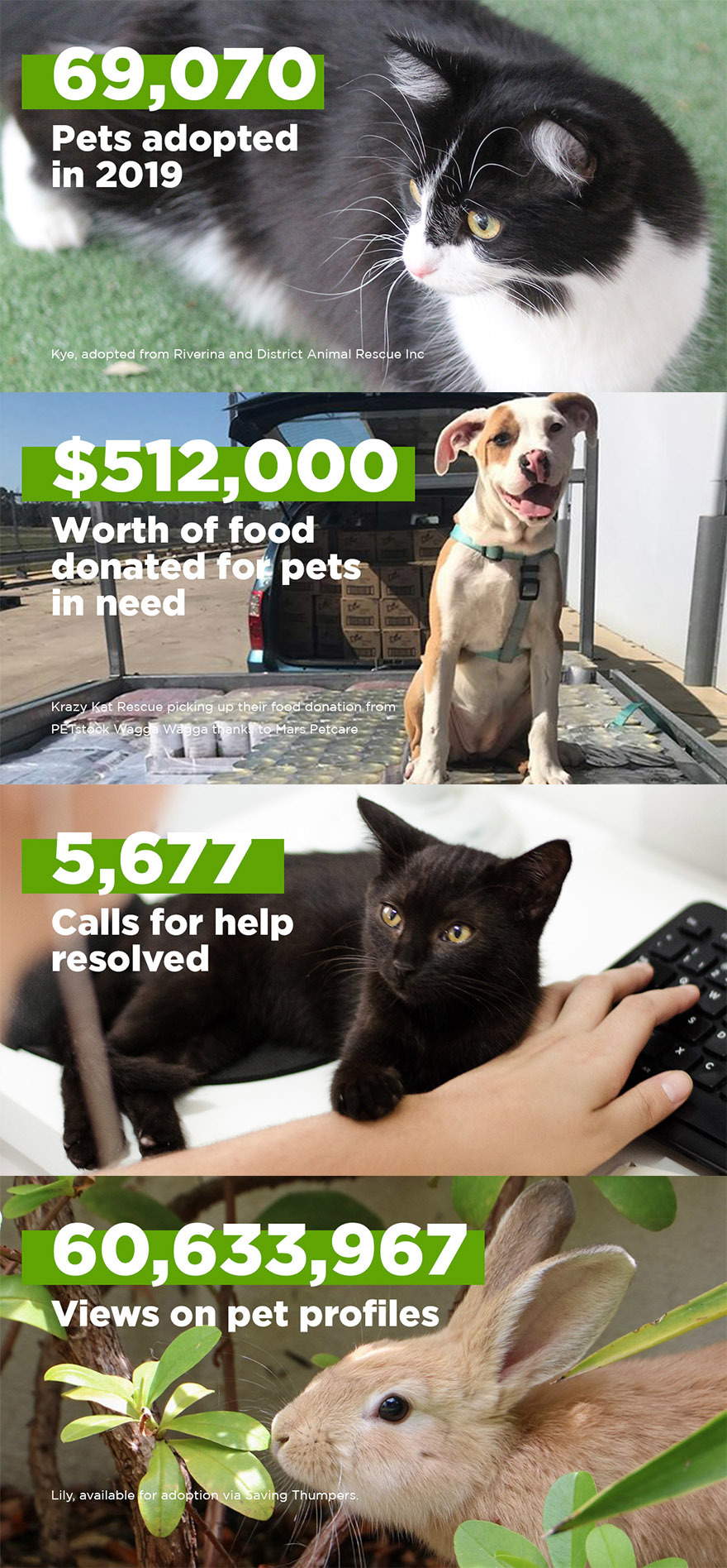 The impact of your kindness ~ 2019 - PetRescue
