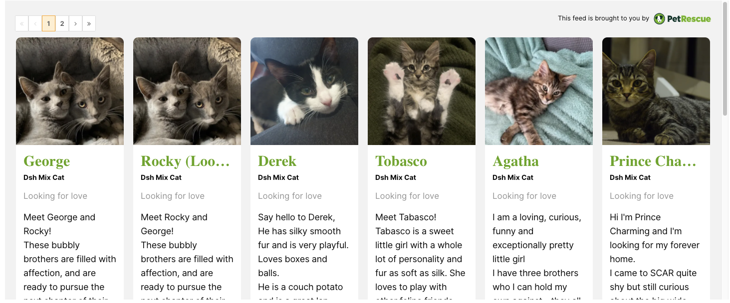 A screengrab of PetRescue listings as a mini feed on another website