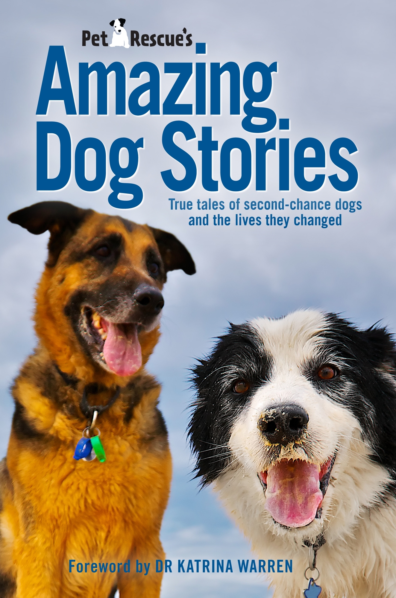 amazing dog stories book cover