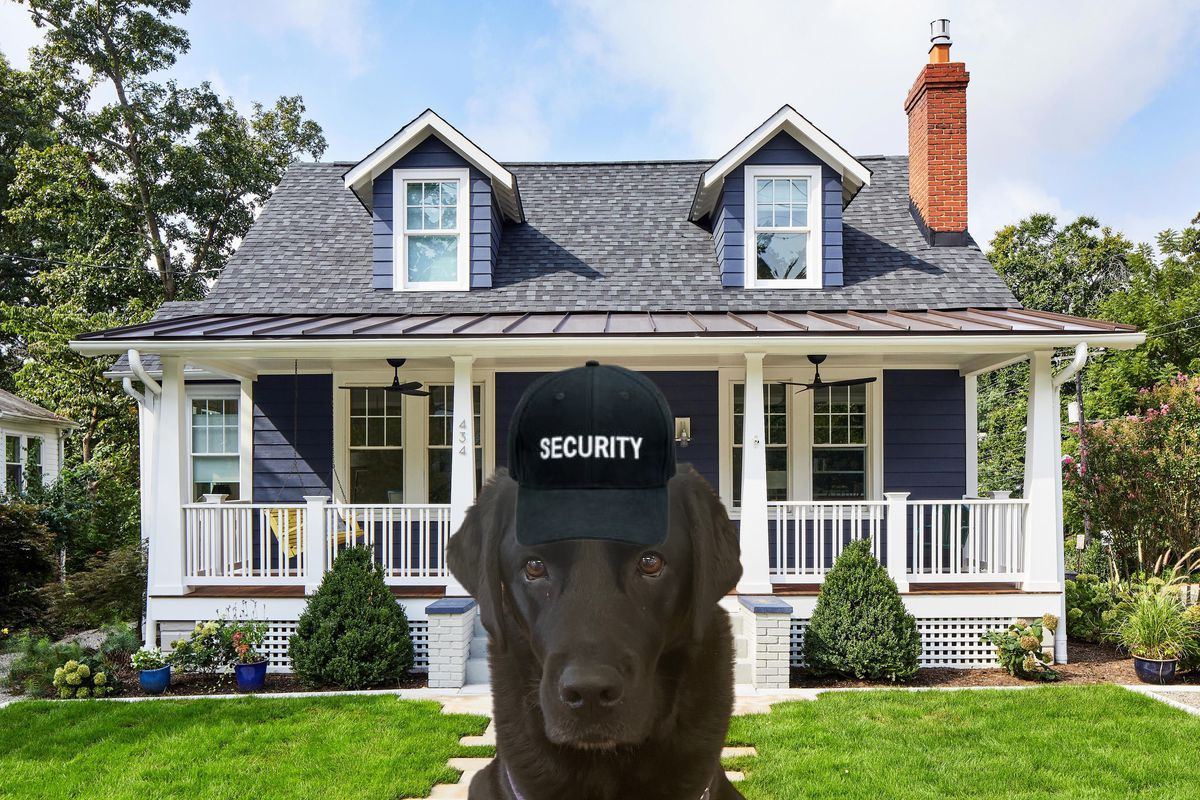 a big black doggo named Stella guarding a house