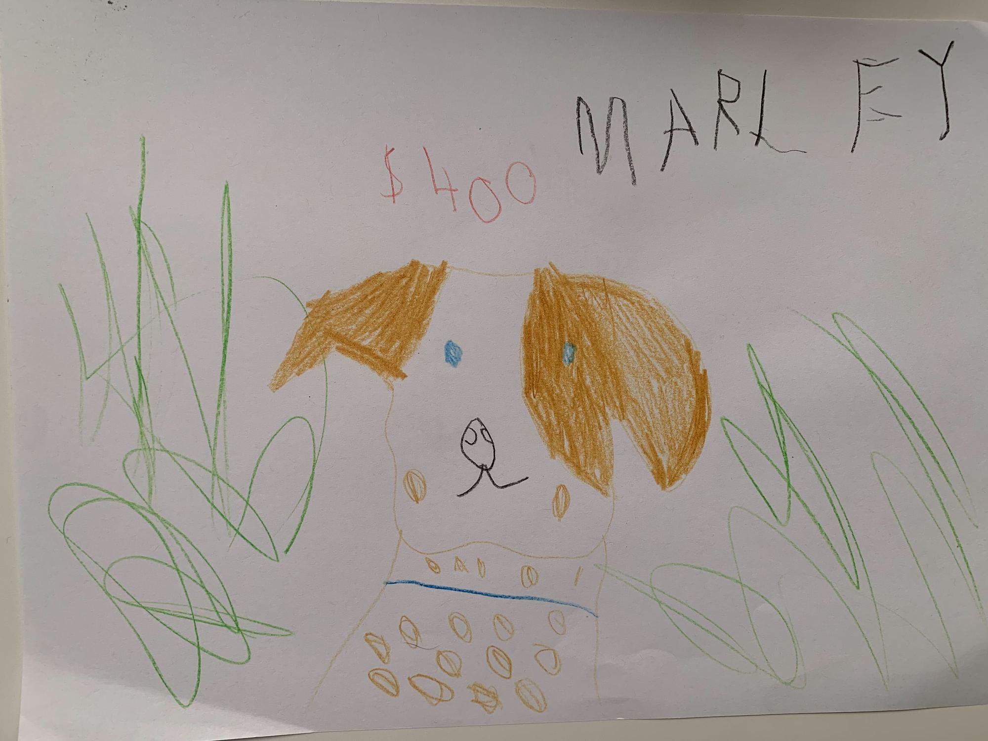 a child's drawing of a dog with blue eyes