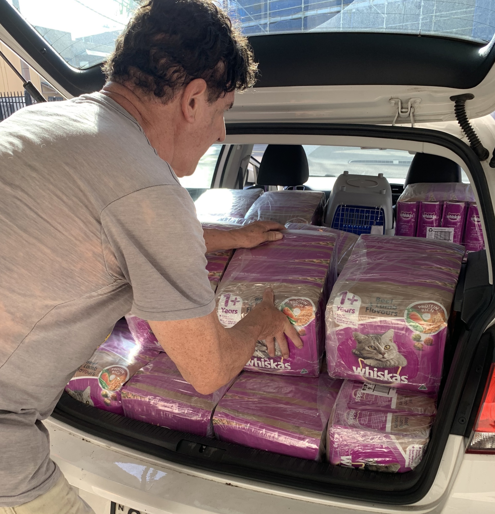 A person loading their car with Whiskas