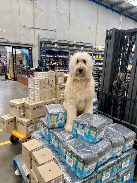 A happy fluffy dog standing on some food donations