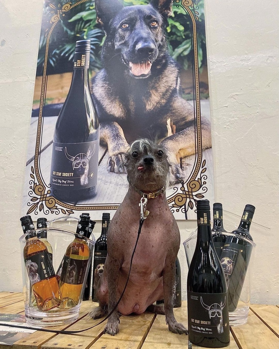 A dog with some glasses of wine