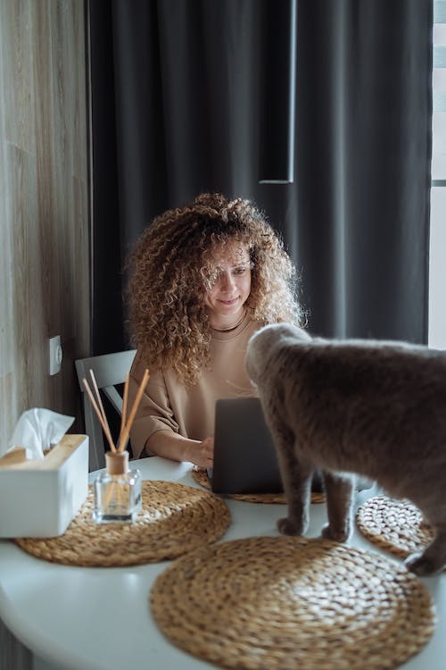 Woman sat at a table with a laptop and a grey cat