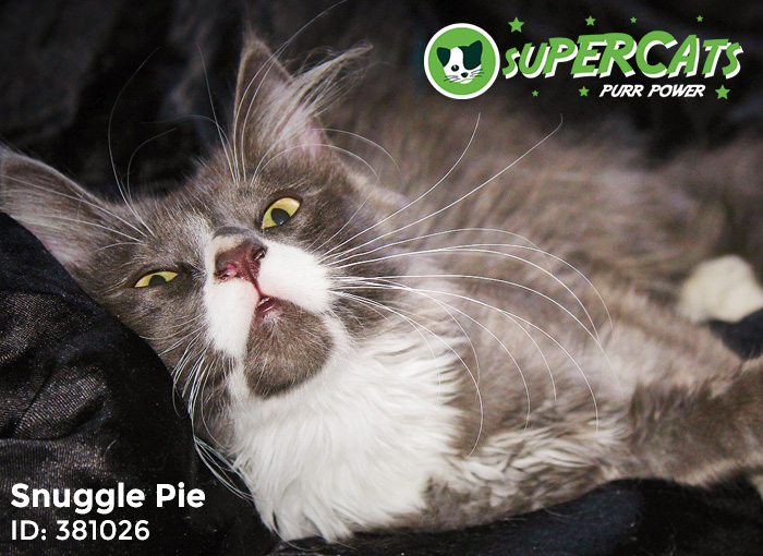 Snuggle-Pie