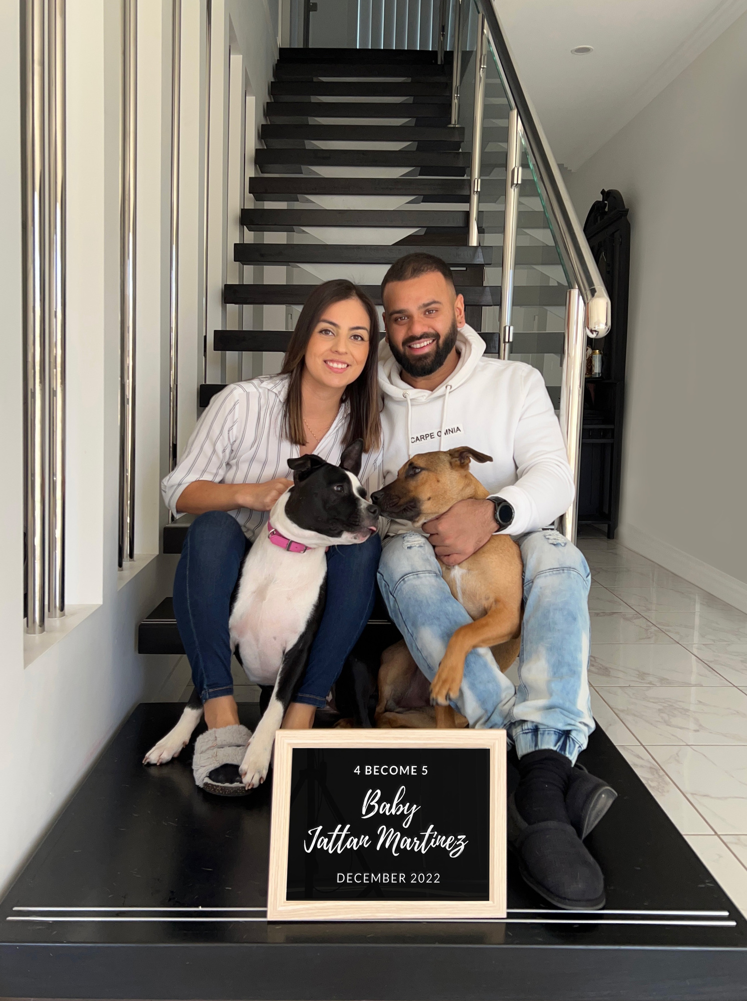 the couple and their two big dogs sitting on stairs with a pregnancy announcement sign