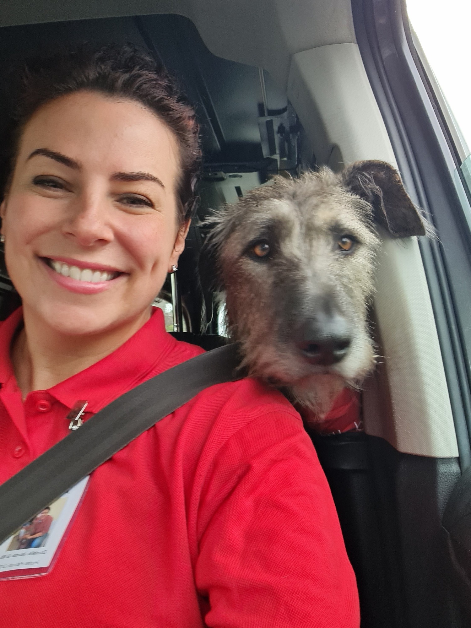 A smiling woman in a car with a shaggy big dog