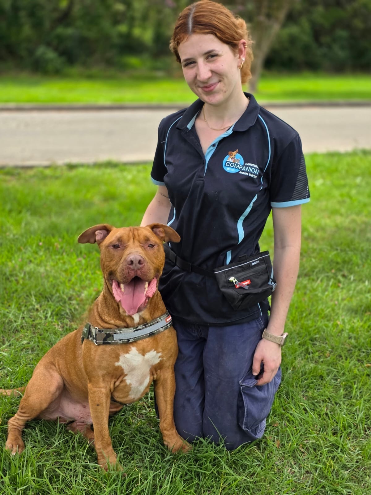 A woman in a blue shirt kneels beside a friendly dog, both looking at the camera with joyful expressions.