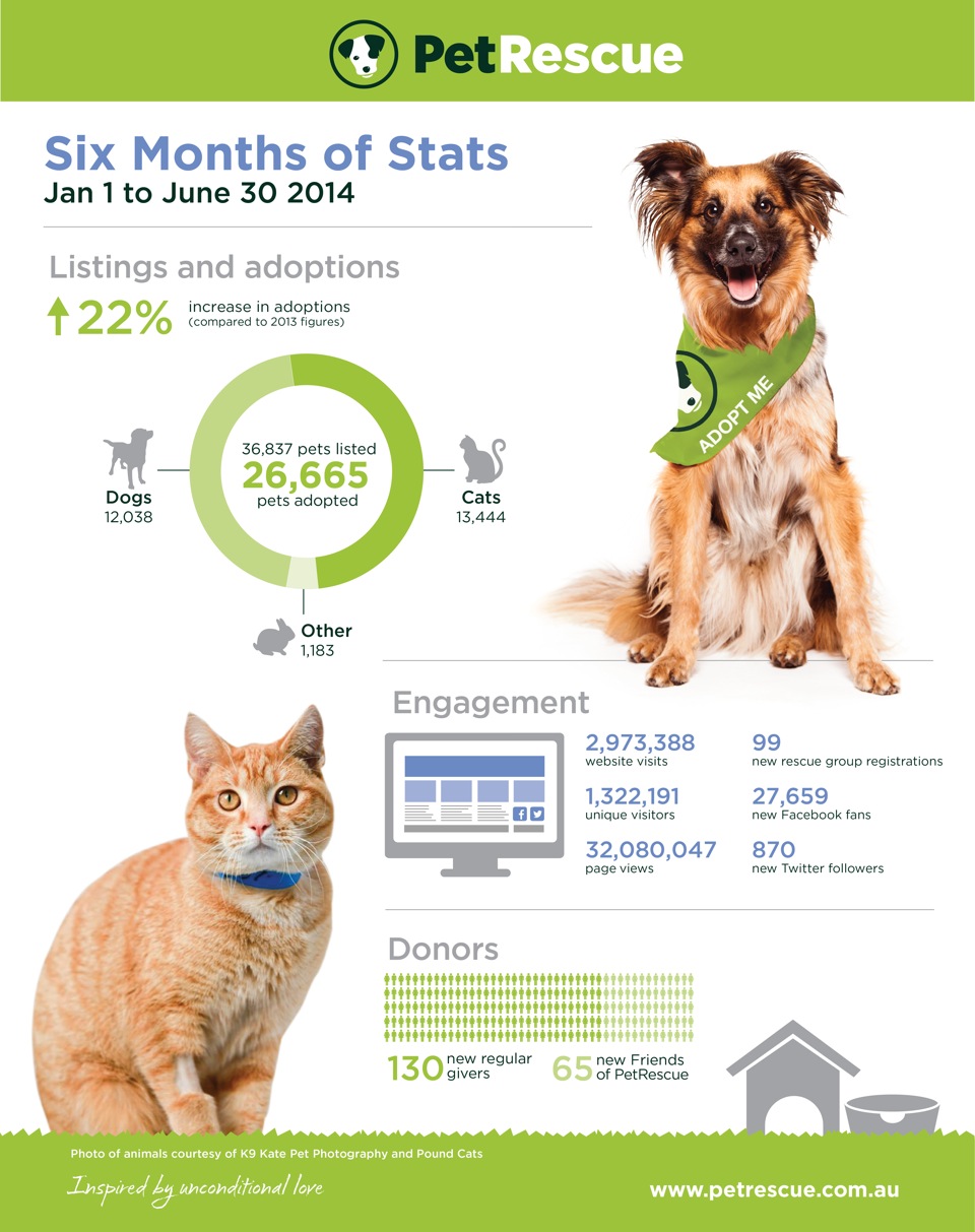 Six months of stats 2014