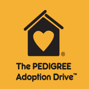 The PEDIGREE Adoption Drive