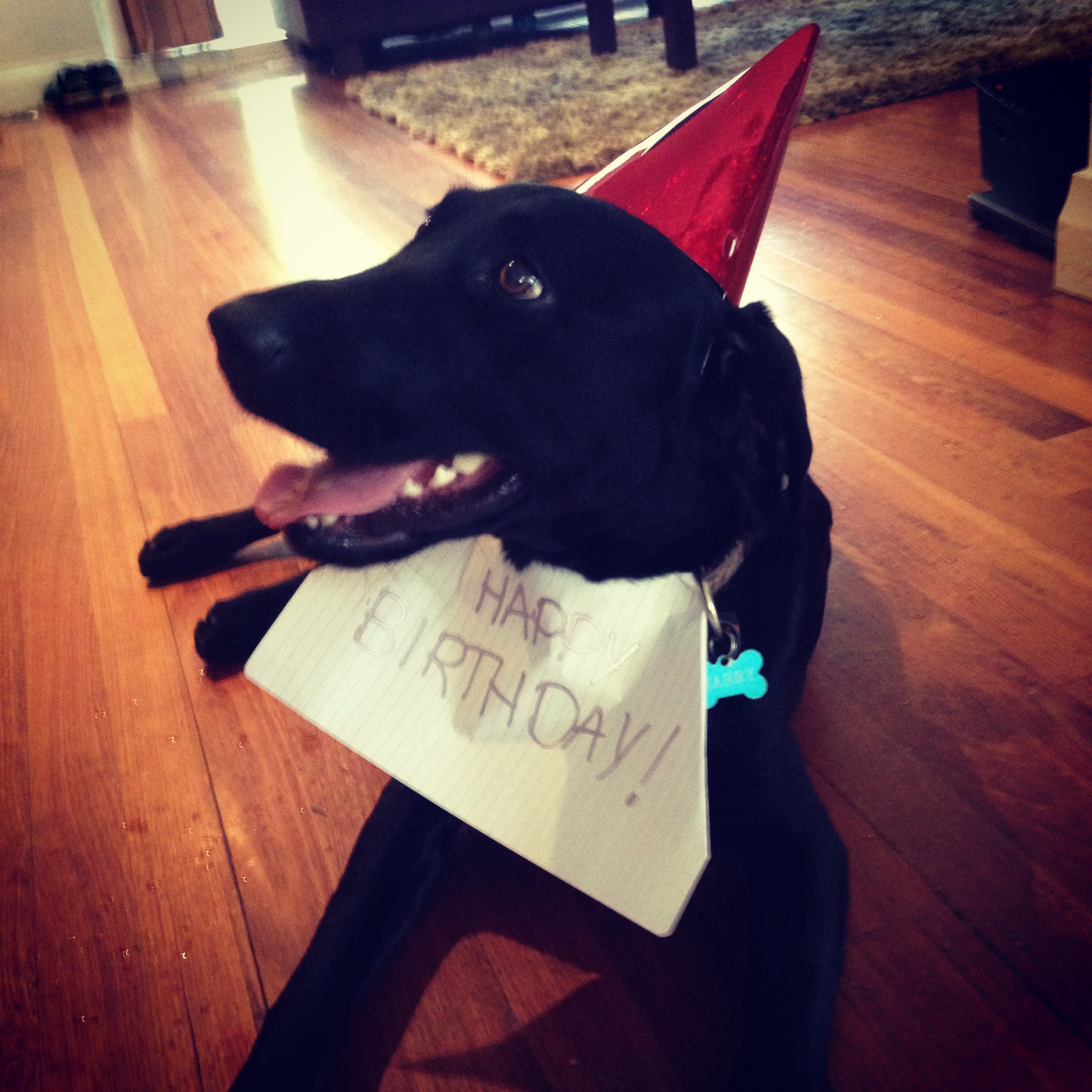 Harry celebrates his birthday