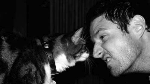 Wil Anderson cat person