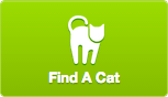 Find A Cat