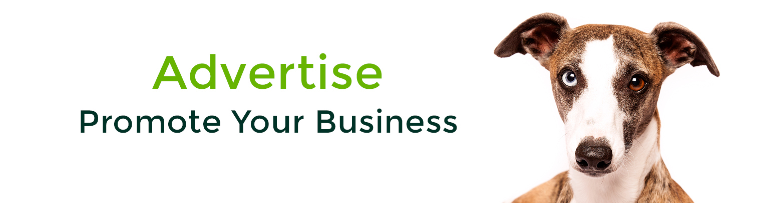 Advertise and promote your business