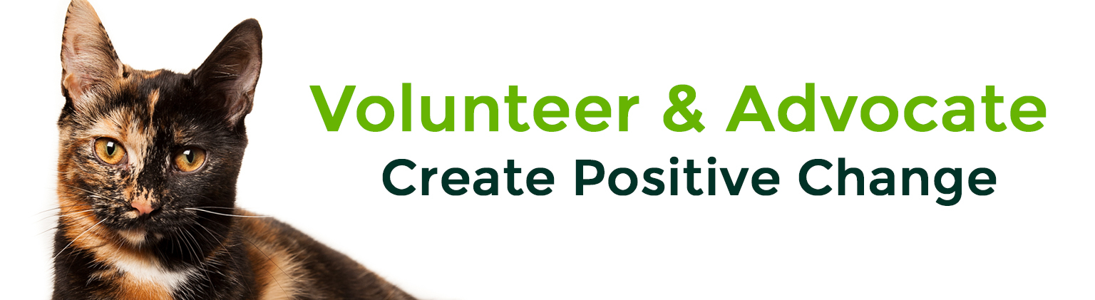 Volunteer and Advocate - create positive change